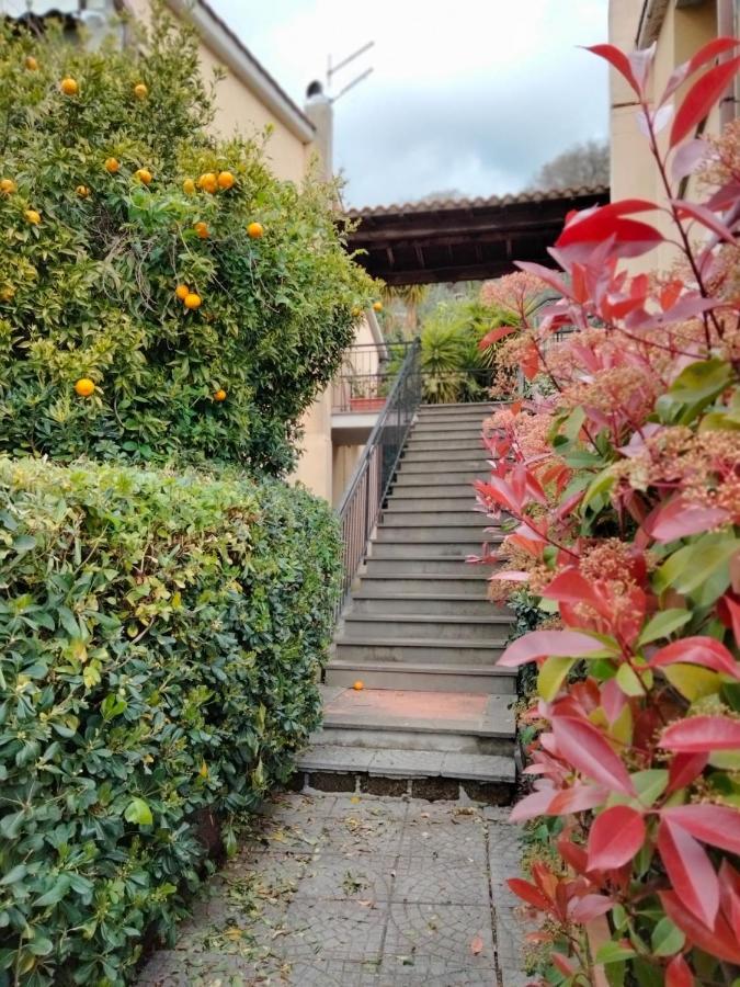 Sguardo Sul Lago Trevignano Romano Luaran gambar