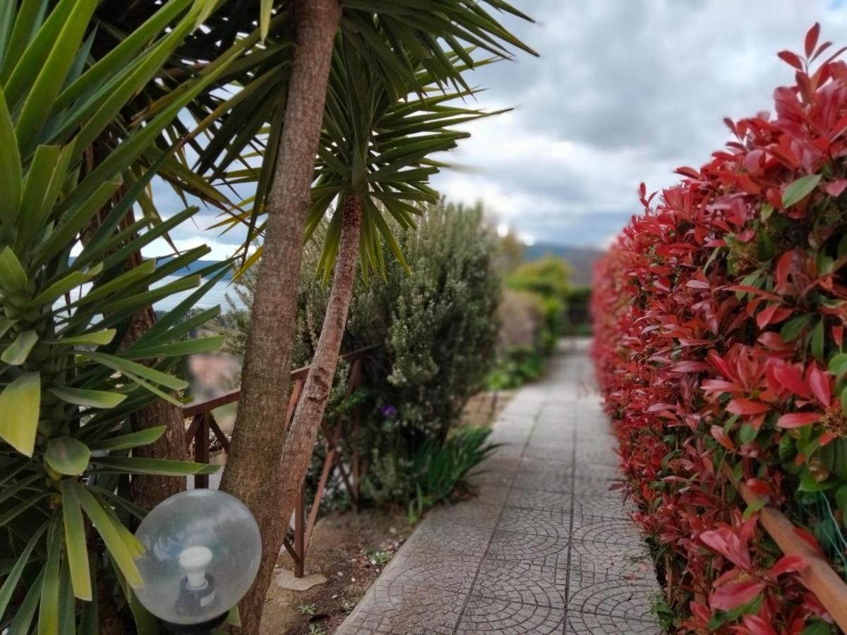 Sguardo Sul Lago Trevignano Romano Luaran gambar