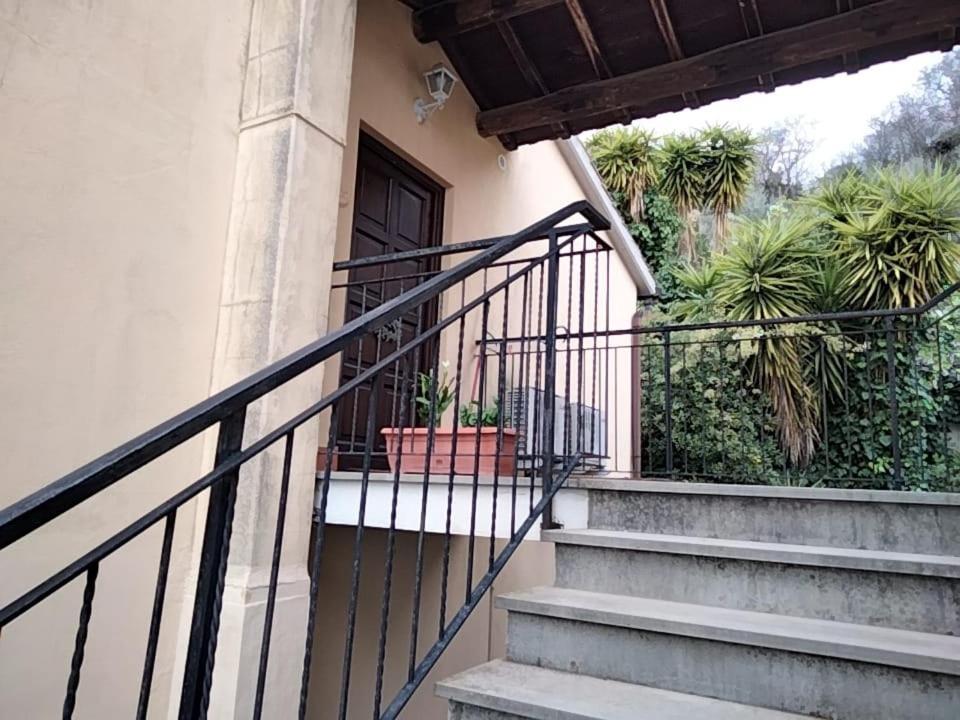 Sguardo Sul Lago Trevignano Romano Luaran gambar